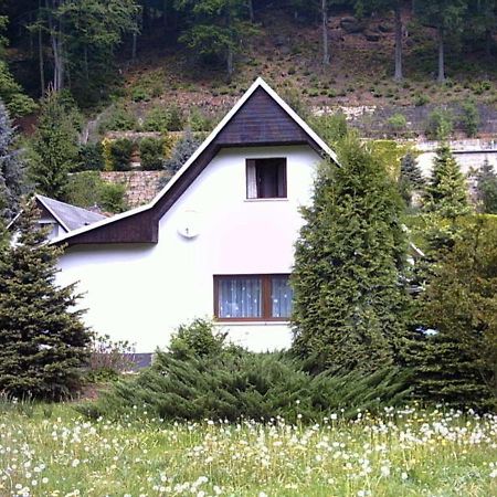 Ferienhaus Greti Stadt Wehlen Esterno foto